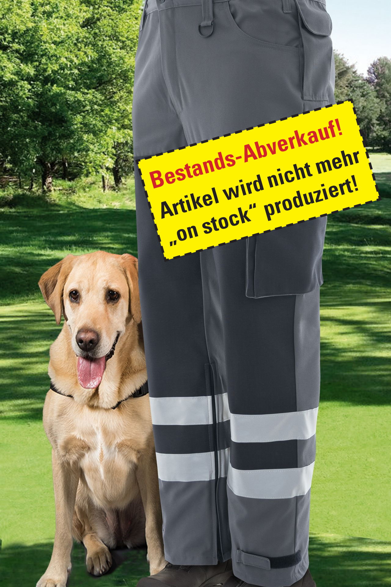 RETTUNGSHUNDE  3-IN-1